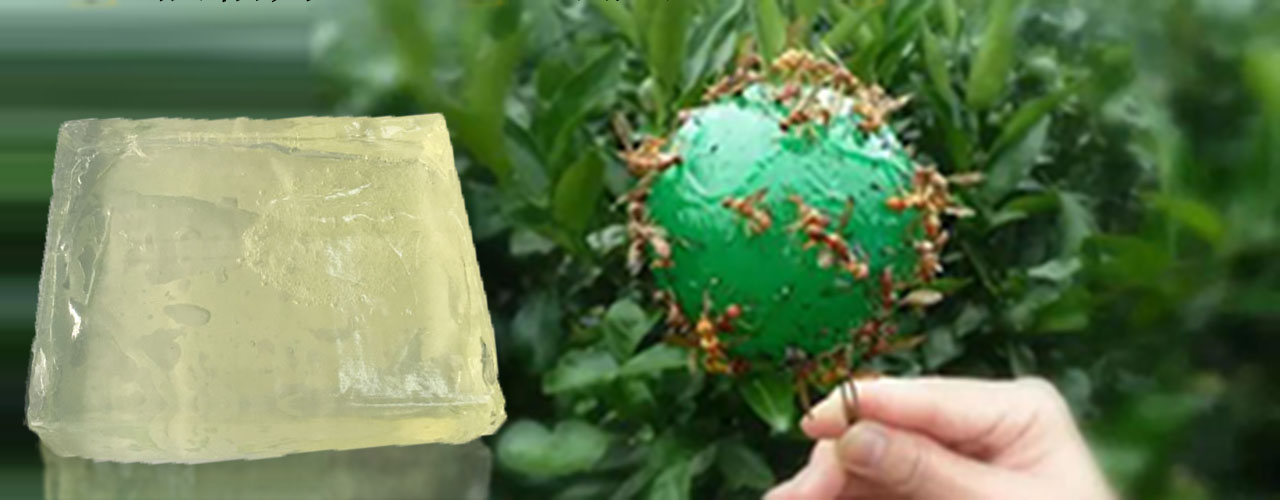 粘蟲用熱熔膠